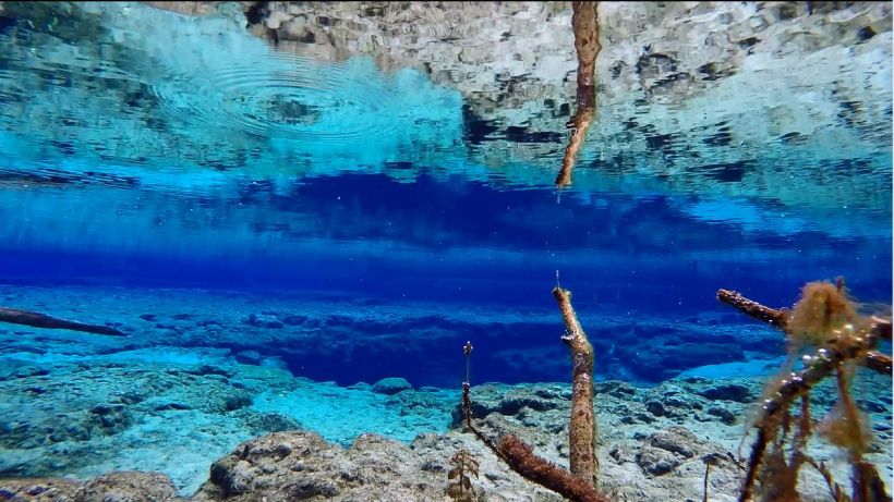 ginnie-reflection-perspective