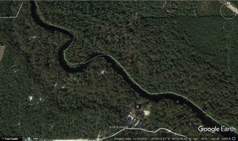 ginnie-springs-landscape-close-up