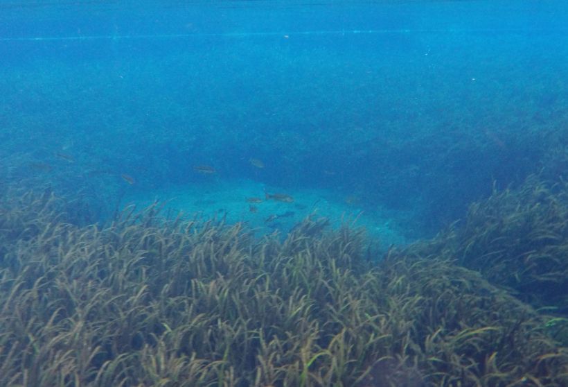 DCIM100GOPROGOPR0352.