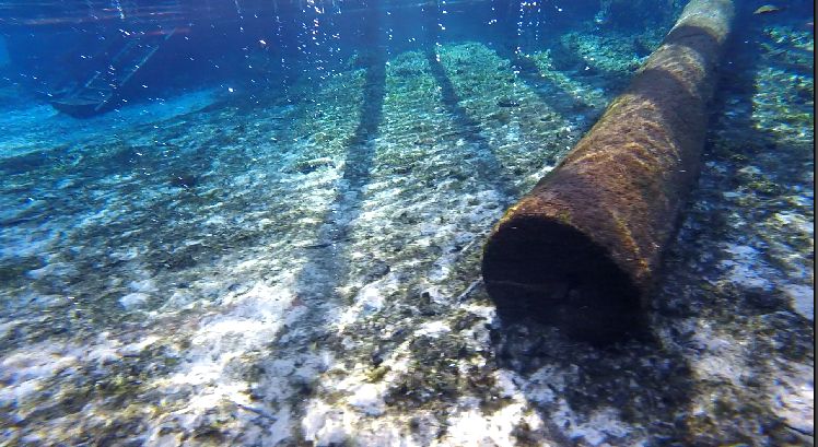 devil's eye bubbles from divers
