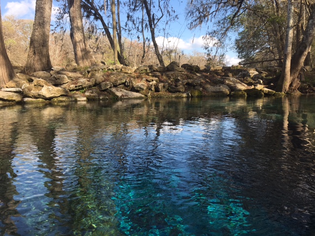 Ginnie Springs, Gilchrist County, February 2017 – A Florida Spring Odyssey