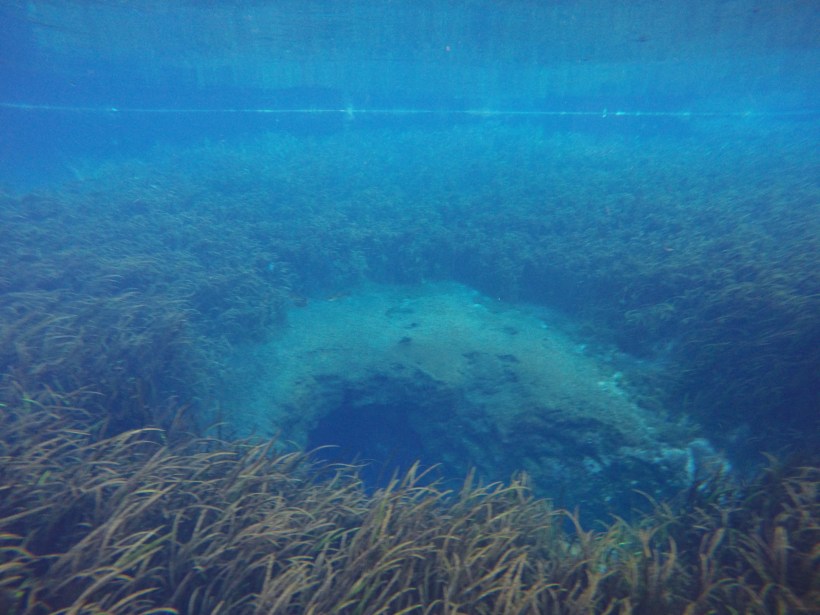 DCIM100GOPROGOPR0341.