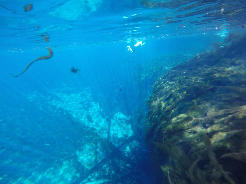 DCIM100GOPROGOPR0428.