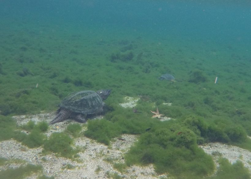 DCIM100GOPROGOPR0412.