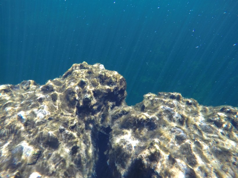 DCIM100GOPROGOPR0536.