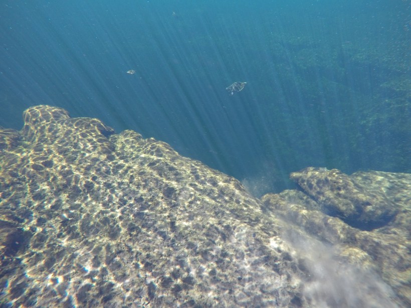 DCIM100GOPROGOPR0574.