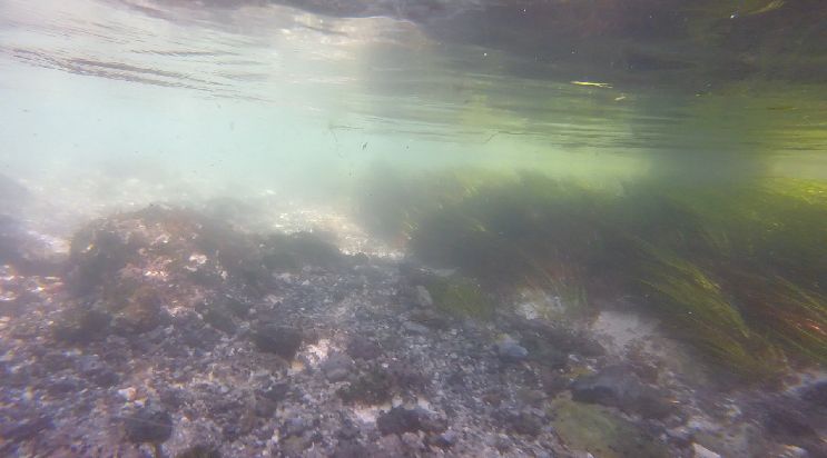 suspended material in run