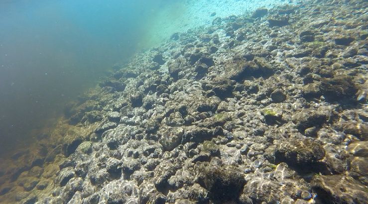 run with withlacoochee in the distance2