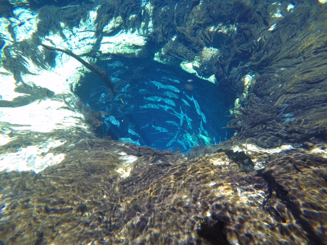 DCIM100GOPROGOPR0827.