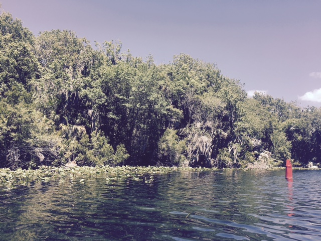 silver glen run with buoy