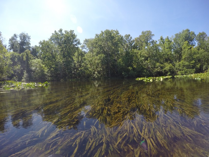 DCIM100GOPROGOPR1110.