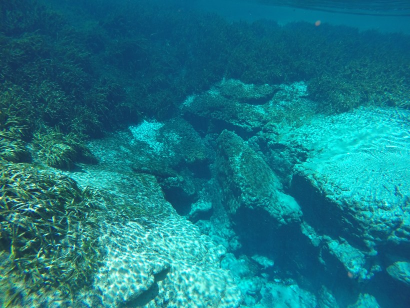 DCIM100GOPROGOPR1137.