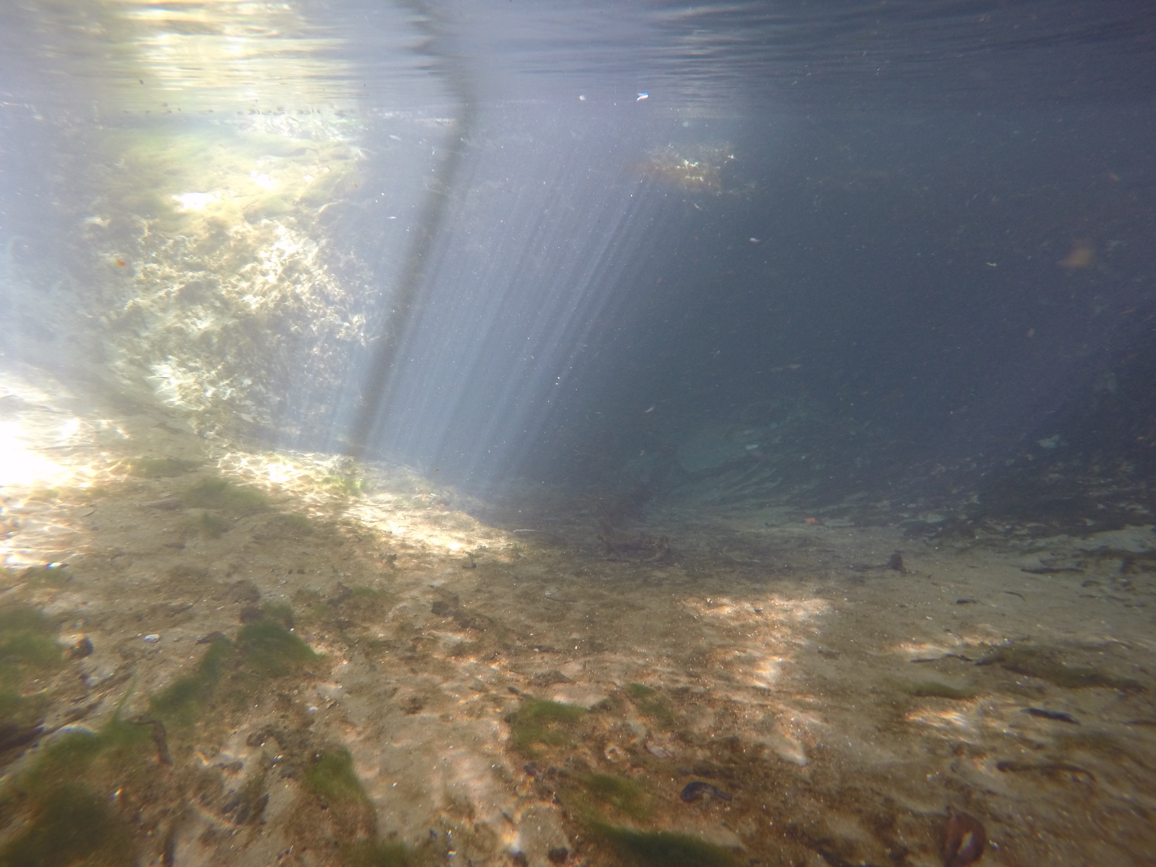 DCIM100GOPROGOPR1302.