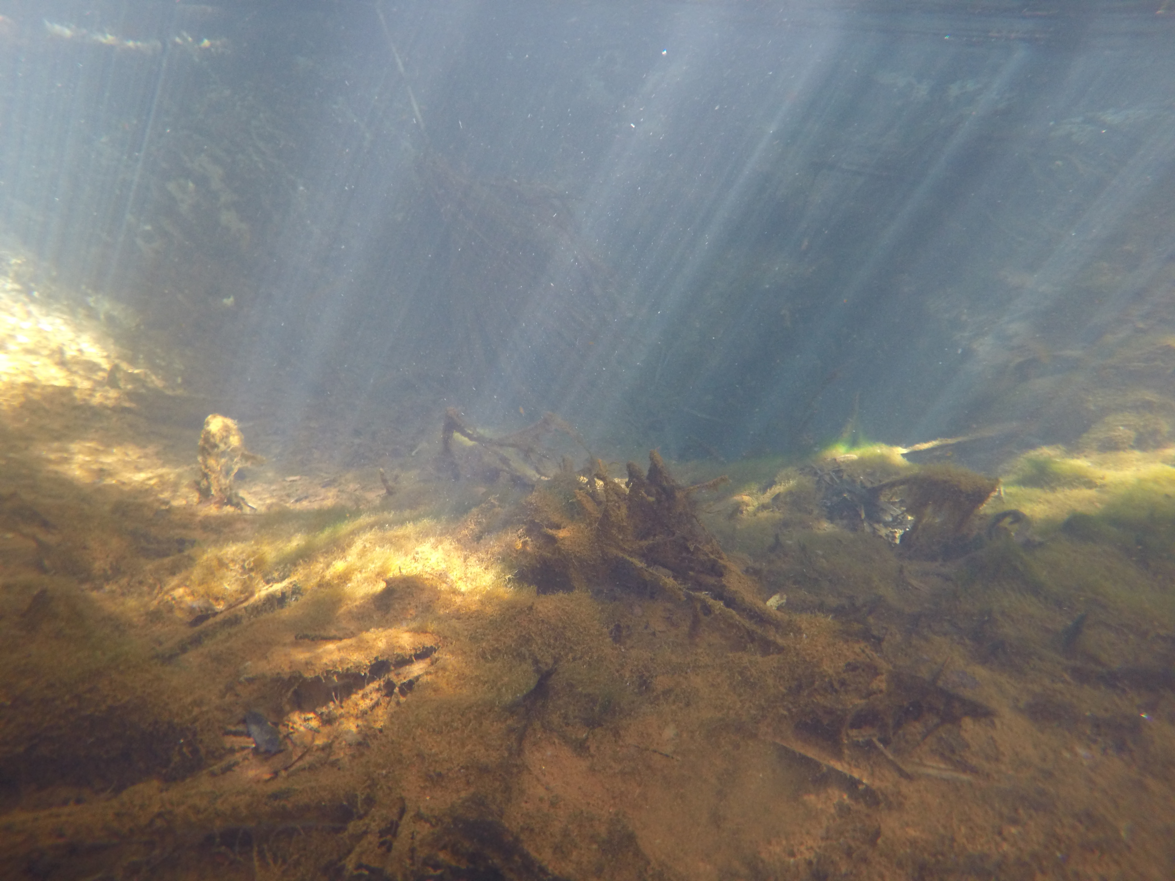 DCIM100GOPROGOPR1311.