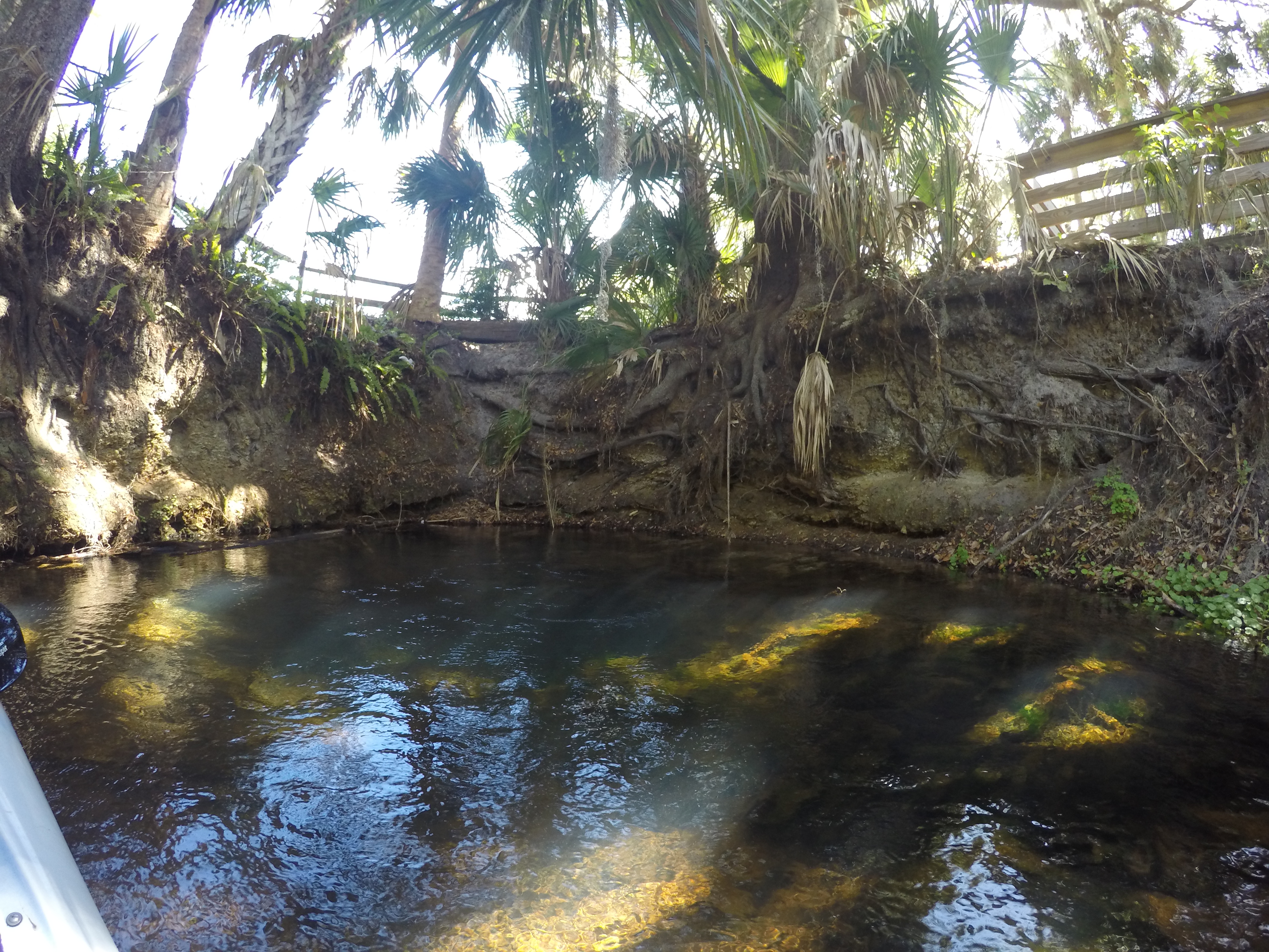 DCIM100GOPROGOPR1316.