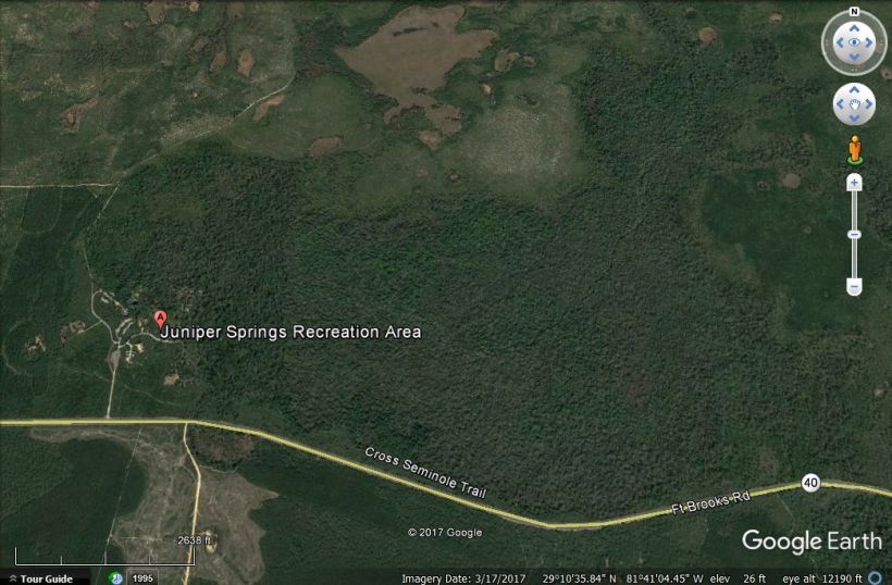 juniper aerial close up