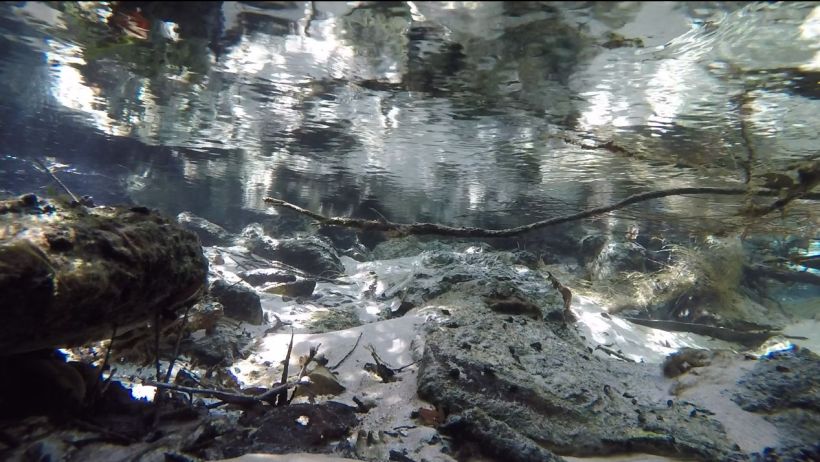 Juniper spring run start under water