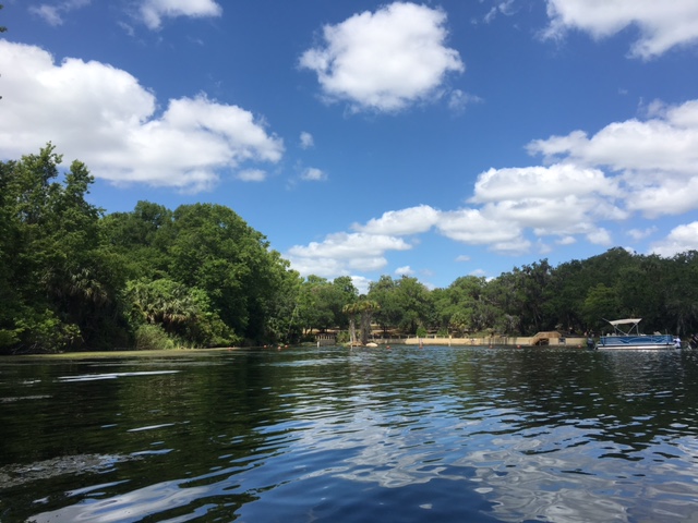 looking back at salt spring