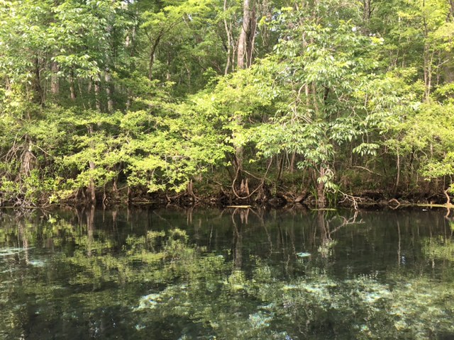 sally ward headspring