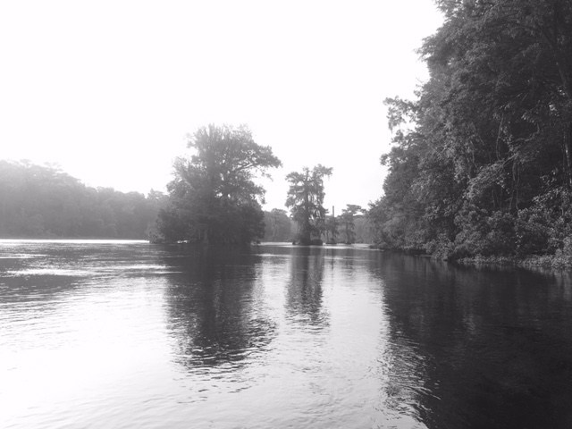 Wakulla in the morning