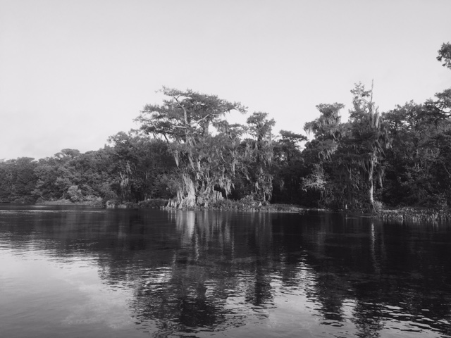 Wakulla tree islands 3